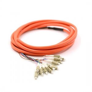 24 Fibers LC/SC/FC/ST/E2000 OM1/OM2 Multimode Bunch Fiber Optic Pigtail 24 Fibers LC/SC/FC/ST/E2000 OM1/OM2 Multimode Bunch Fiber Optic Pigtail