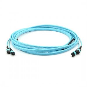 맞춤형 24 파이버 OM3 멀티모드 12 스트랜드 MTP 트렁크 케이블 3.0mm LSZH/라이저 맞춤형 24 파이버 OM3 멀티모드 12 스트랜드 MTP 트렁크 케이블 3.0mm LSZH/라이저