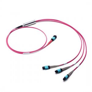 10M MTP Female to 3x MTP Female 24 Fibers OM4 Multimode Conversion Cable, Polarity B, LSZH Bunch