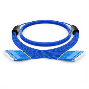 5m SC UPC to SC UPC 12 Fibers Singlemode 9/125 Armored Breakout Cable 3.0mm Legs 5m SC UPC to SC UPC 12 Fibers Singlemode 9/125 Armored Breakout Cable 3.0mm Legs