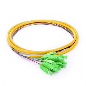 1.5M 12 Fibers SC/APC 9/125 Singlemode Bunch Fiber Optic Pigtail 0.9mm PVC Jacket 1.5M 12 Fibers SC/APC 9/125 Singlemode Bunch Fiber Optic Pigtail 0.9mm PVC Jacket