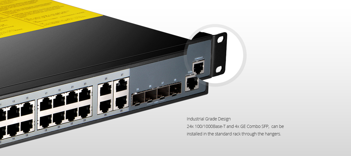 1G Switches