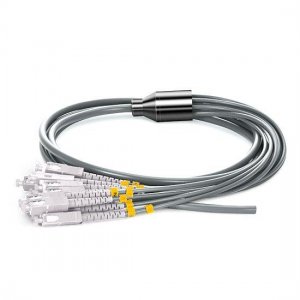 12fiber 3.0mm OM2 Многомодовый LC/SC/ST/FC бронированный пучок Волоконно-оптический пигтейл 12fiber 3.0mm OM2 Многомодовый LC/SC/ST/FC бронированный пучок Волоконно-оптический пигтейл