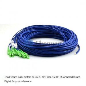 8-fiber 3.0mm 9/125 Single-mode LC/SC/ST/FC Armored Bunch Pigtail 8-fiber 3.0mm 9/125 Single-mode LC/SC/ST/FC Armored Bunch Pigtail