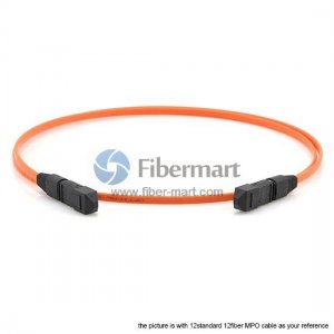 72 Fibers Multimode OM2 12 Strands MPO Trunk Cable 3.0mm LSZH/Riser