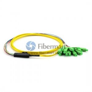 12-волоконный 9/125 SM Ribbon Fan-out LC/SC/ST/FC пигтейл 12-волоконный 9/125 SM Ribbon Fan-out LC/SC/ST/FC пигтейл