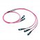 30M 2x MTP Female to 3x MTP Female 24 Fibers OM4 50/125 Multimode Conversion Cable, Polarity B, LSZH Bunch