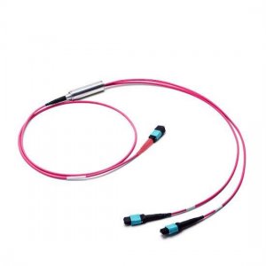 От MTP-16 до 2x MTP-8 OM4 Многомодовый соединительный кабель MTP, 16 волокон, полярность B, пучок LSZH От MTP-16 до 2x MTP-8 OM4 Многомодовый соединительный кабель MTP, 16 волокон, полярность B, пучок LSZH