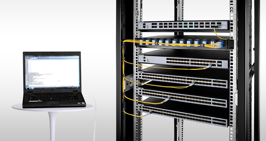 100G Switches Networking OS